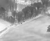Drone pilot and dog handler link up to arrest a suspect.