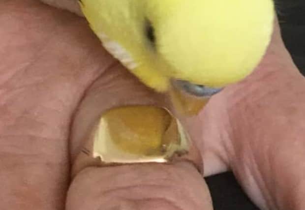 The stolen wedding ring