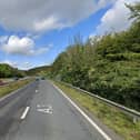 The crash took place on the A3 northbound near the Queen Elizabeth Country Park near Horndean. Picture: Google Street View.