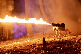 The Thermonator flamethrowing robot dog. 