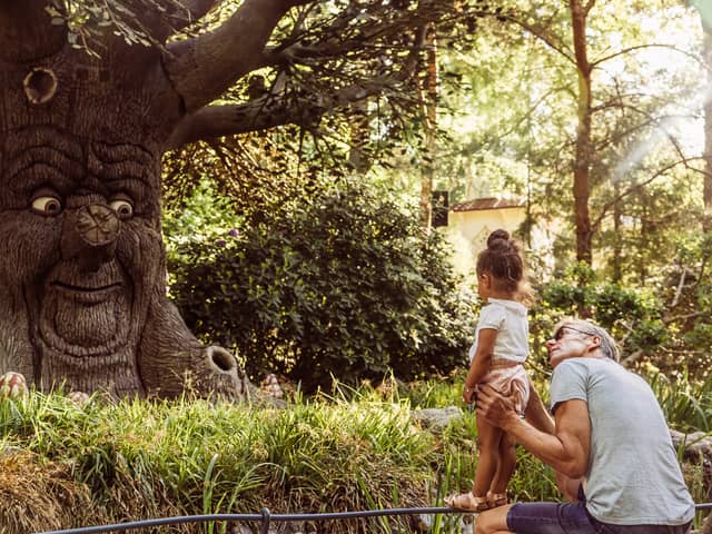 Holland's Efteling, an altogether less expensive family trip out