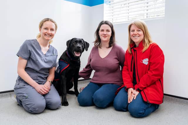 Warrior with vet Laura Gallagher (left), puppy parent Eimear Hobby (centre) and Hounds for Heroes trainer Lauren Butcher. Picture: VetPartners