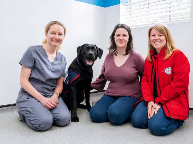 Warrior with vet Laura Gallagher (left), puppy parent Eimear Hobby (centre) and Hounds for Heroes trainer Lauren Butcher