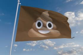 Southsea Beach has been awarded a "brown flag" for poor water quality.