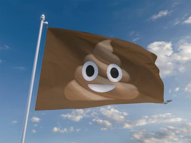 Southsea Beach has been awarded a "brown flag" for poor water quality.
