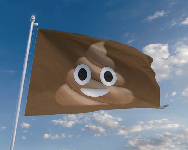 Southsea Beach has been awarded a "brown flag" for poor water quality.