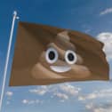 Southsea Beach has been awarded a "brown flag" for poor water quality.