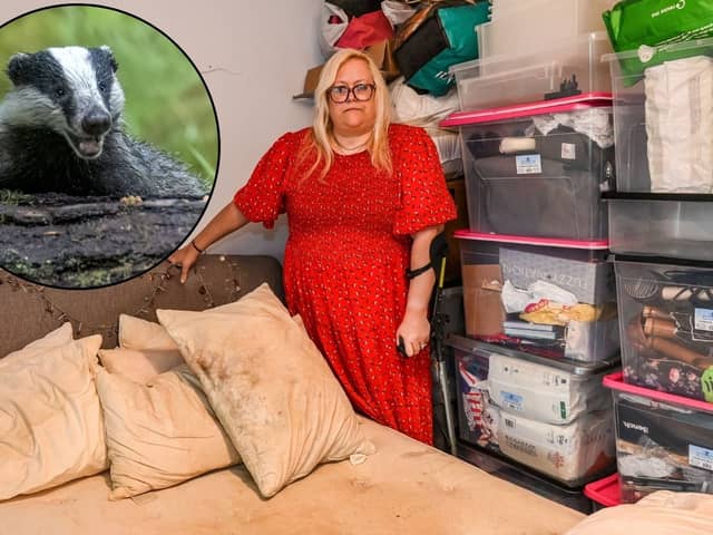 Rae Boxley, 51, has been trapped in her home by badgers but the council won't help because they are a protected specie