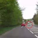 Deer runs across busy main road causing car to swerve.