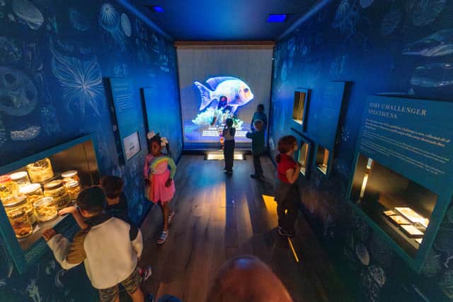 Young visitors enjoy the World Beneath the Waves exhibition, including some of the specimens from the original Challenger expedition Credit NMRN