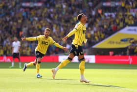 Josh Murphy has landed at Fratton Park. A host of Championship clubs were interested, but he’s joined John Mousinho’s ‘project’. (Alex Pantling/Getty Images)