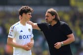 Daniel Farke with Leeds United's Archie Gray. Leeds suffered a 1-0 defeat that sees them remain in the Championship next season