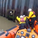 RNLI rescue dog after 14ft fall into river