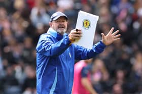 Scotland manager Steve Clarke. 