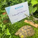 Portsmouth Tortoise Rescue has been recognised as Animal Charity of the year at the Animal Star Awards UK. 