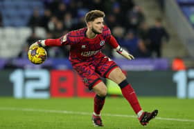 Former Hawks keeper Matija Sarkic