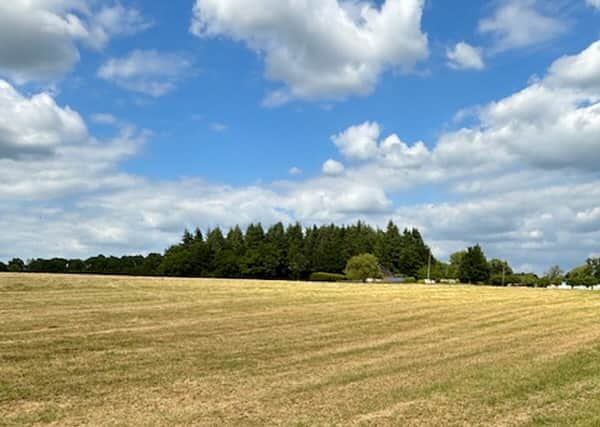 The new Wickham Festival site.