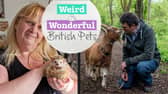 Watch a programme on Shots TV exploring some of Britain's quirkiest pets - and the wonderful things we get upto with them!