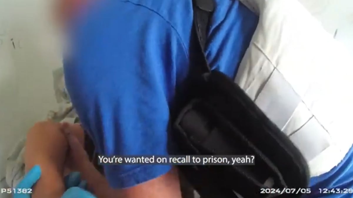 Police find wanted man and yells “I’ve got two kids, I’ve played hide and seek many times!”