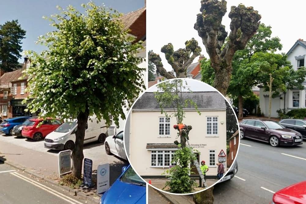 Lime trees growing either side of High Street in Henley-in-Arden, Warks., had their tops hacked off without notice leaving locals “devastated”.