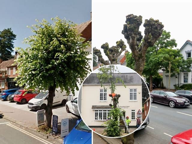 Lime trees growing either side of High Street in Henley-in-Arden, Warks., had their tops hacked off without notice leaving locals “devastated”.