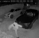 Footage has been released of the moment Hampshire cricket captain, James Vince, had his house attacked for the second time. 