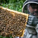 James Wheeldon began beekeeping last year after wanting to find a new skill following lockdown 

Pictured: James Wheeldon at his hive in Hilsea.
Picture: Habibur Rahman