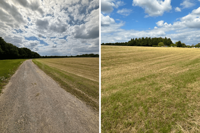 The site of where Wickham Festival will take place this year.