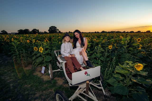 Tilly Beresford with her son Rigby 9 at Sam's Sunflowers 