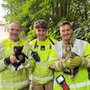 Firefighters rescue woman and two kittens stuck down valley in Southampton. 