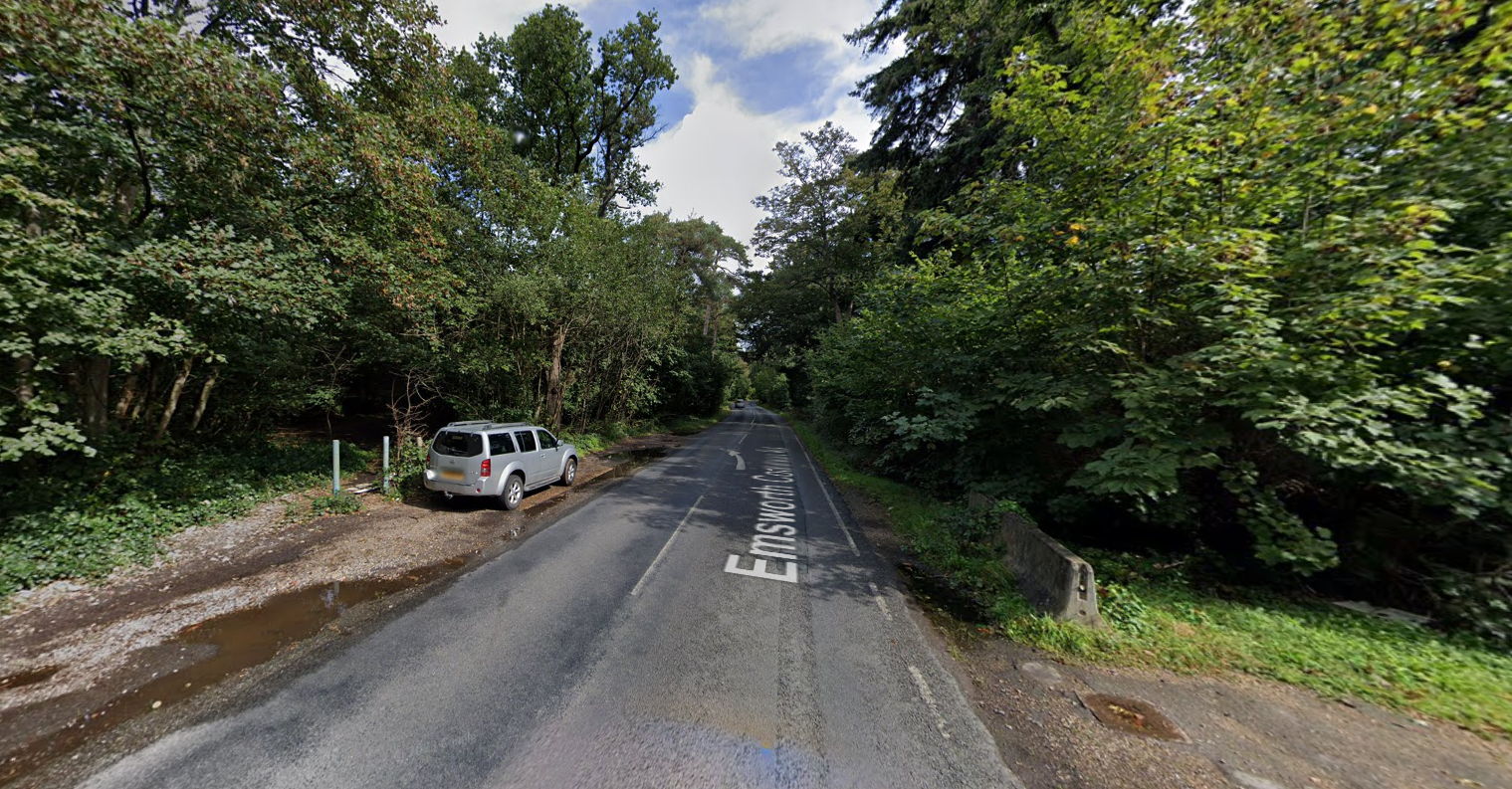 Man hiding behind tree indecently exposes himself in front of woman
