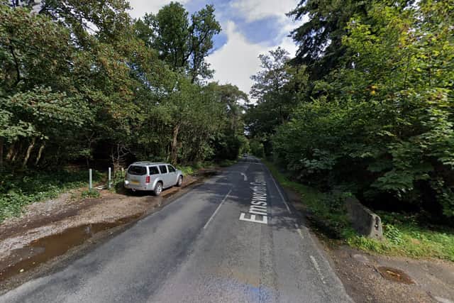 Police said a man hiding behind a tree in Hollybank Woods, Emsworth, indecently exposed himself in front of a woman walking a dog.