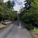 Police said a man hiding behind a tree in Hollybank Woods, Emsworth, indecently exposed himself in front of a woman walking a dog.