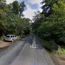 Police said a man hiding behind a tree in Hollybank Woods, Emsworth, indecently exposed himself in front of a woman walking a dog.