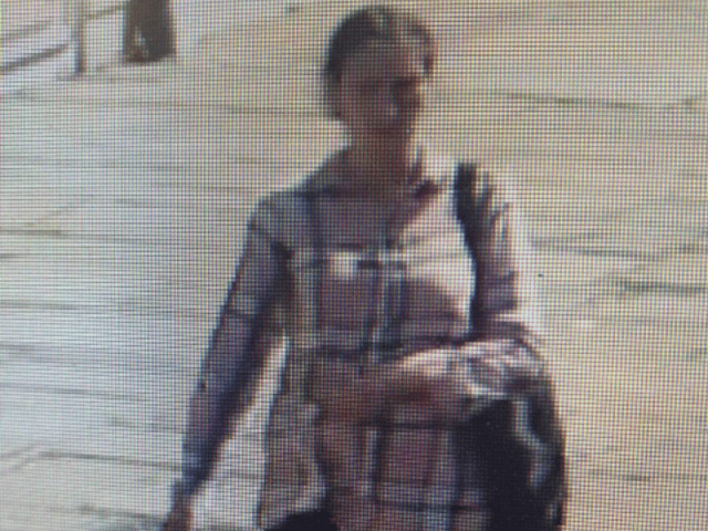 Police wish to speak to this woman after several distraction burglaries in Chichester and across Sussex.