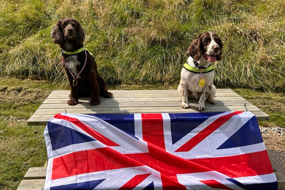 Police explosive search dogs are heading to the Paralympics in Paris to help keep the venues safe for athletes and spectators. Left is PD Arlo and right is PD Cody.