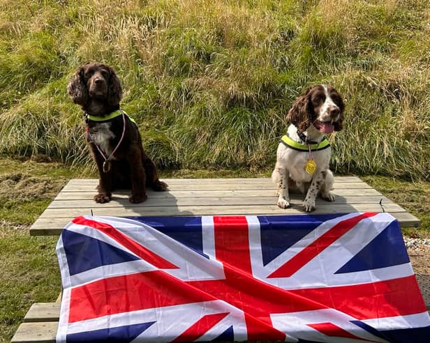 Police explosive search dogs are heading to the Paralympics in Paris to help keep the venues safe for athletes and spectators. Left is PD Arlo and right is PD Cody.