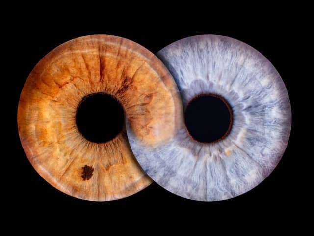Eyeconic captures the beauty of eyes through high-definition iris imagery