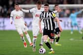 Pompey are not looking to land Newcastle defender Alex Murphy.