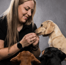 Harriet Newman-Rose, dog trainer from Fareham alongside her pooches. She has organised a Dachshund festival