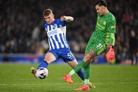 Pompey are chasing a deal for Brighton striker Mark O'Mahony. Pic: Getty.