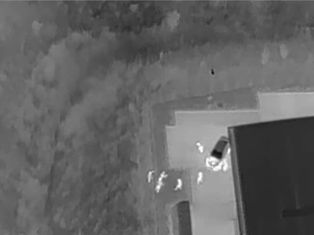 Suspects located by drone in dark undergrowth.