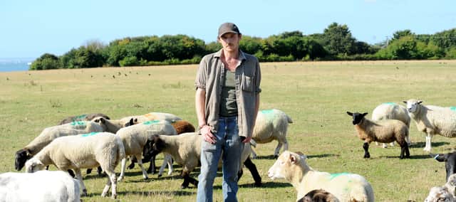 A friend has set up a JustGiving page to help James recoup some of the losses after his sheep were stolen.