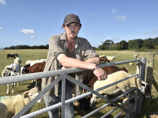 Farmer James Burns has had 40 of his sheep stolen from his farm in Titchfield, overnight between August 10 and 11. 
