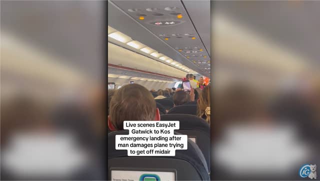 Man taken off plane after ‘trying to storm cockpit at 30,000ft’.