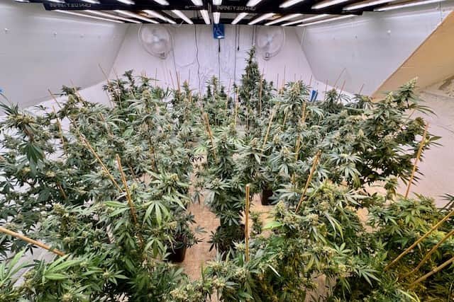 A cannabis farm with over 150 plants was discovered in the Alverstoke area of Gosport. One person was arrested as a result.