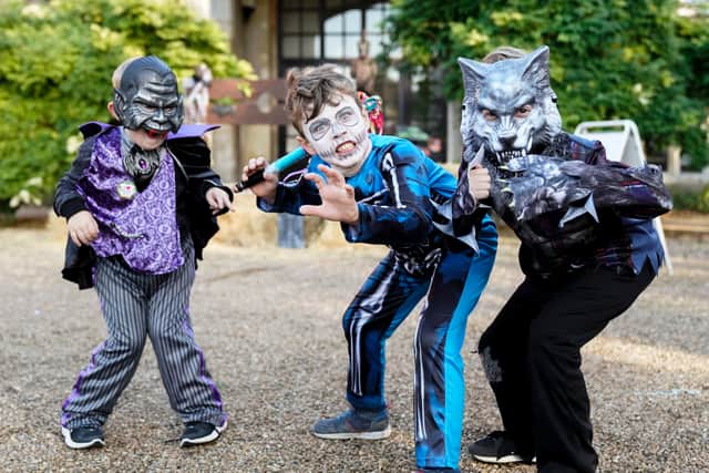 Marwell Zoo is getting ready for its spooktacular halloween next month. 
Picture: Jason Brown Photography