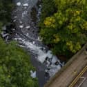 Foam floating along the River Tame after reports of pollution