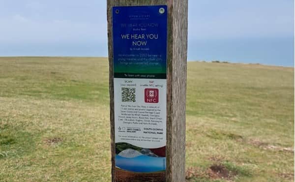 Police are treating the theft of plaques linking to poems from "writers of global heritage" in the South Downs National Park as a racially motivated crime. 

Sussex Police say that a number of the plaques have been taken from signs in the national park which stretches from Winchester in Hampshire to Eastbourne. 

PA Photo.