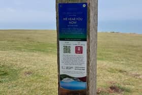 Police are treating the theft of plaques linking to poems from "writers of global heritage" in the South Downs National Park as a racially motivated crime. 

Sussex Police say that a number of the plaques have been taken from signs in the national park which stretches from Winchester in Hampshire to Eastbourne. 

PA Photo. 